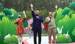 少林高手爆料视频最新,独家爆料视频背后的武林传奇